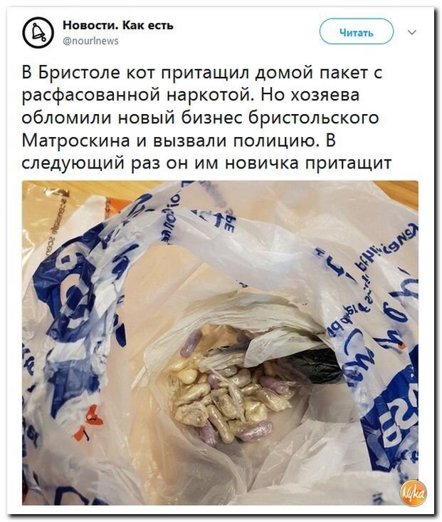 Политические коментарии соцсетей - 585