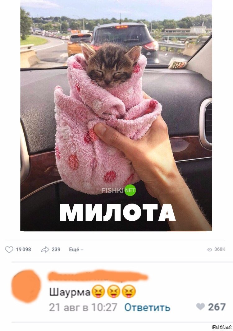 Милота