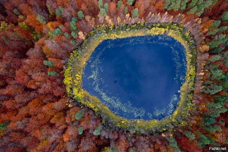 Любителям  осенних пейзажей - осень в Померании (Германия)
