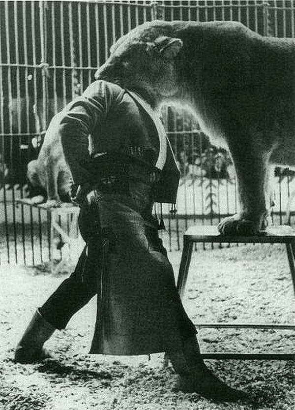 Укротитель испанского цирка, совершивший опасный трюк в  в пасти льва на выступлении в Гамбурге, 1962