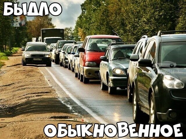 Автовсячина