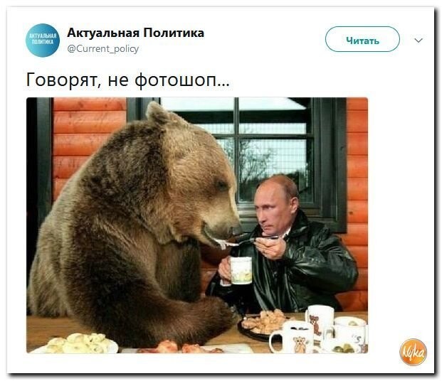 Политические коментарии соцсетей - 586