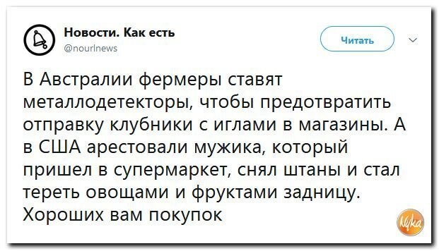 Политические коментарии соцсетей - 586