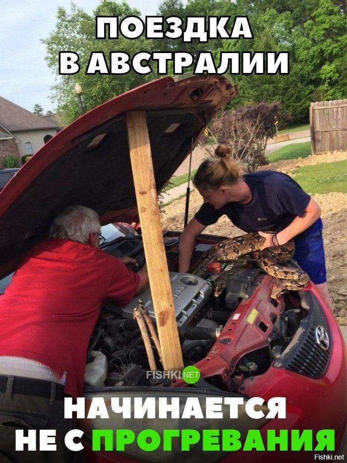Поездка в австралии