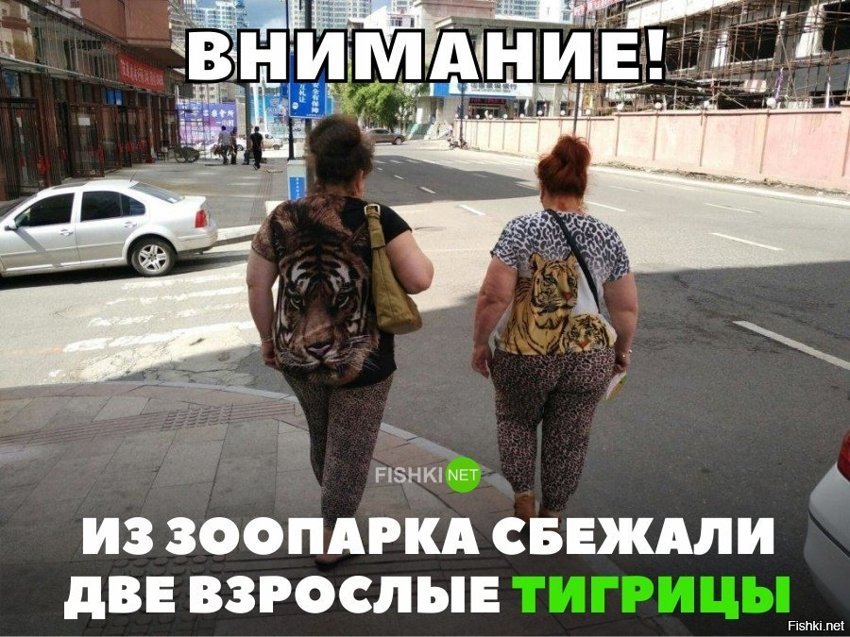 Побег тигриц