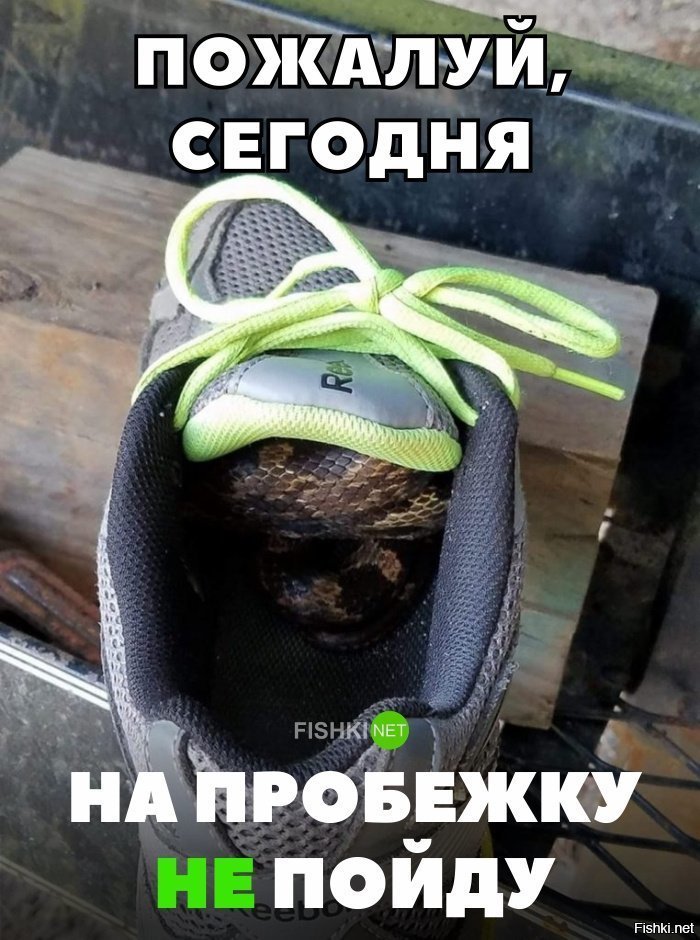 На пробежку не пойду