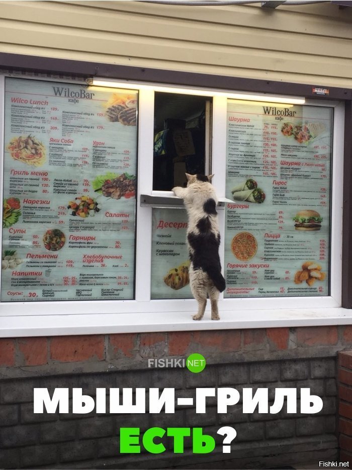 Мыши-гриль