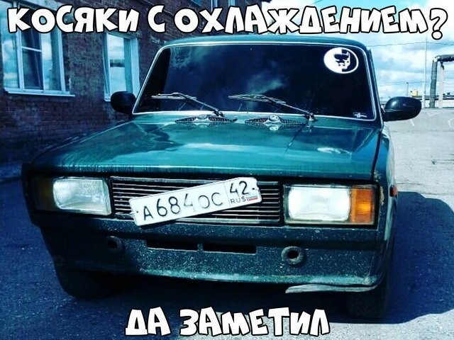 Автовсячина