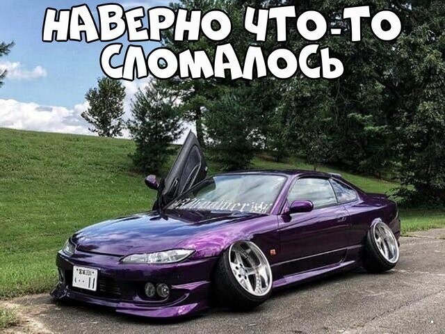 Автовсячина