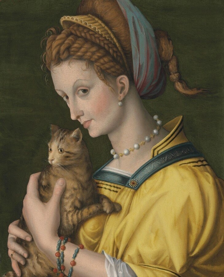 Bacchiacca (XVI век). Дама с котом.