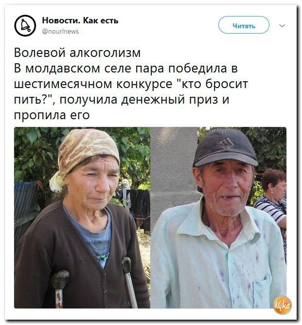 Политические коментарии соцсетей - 588