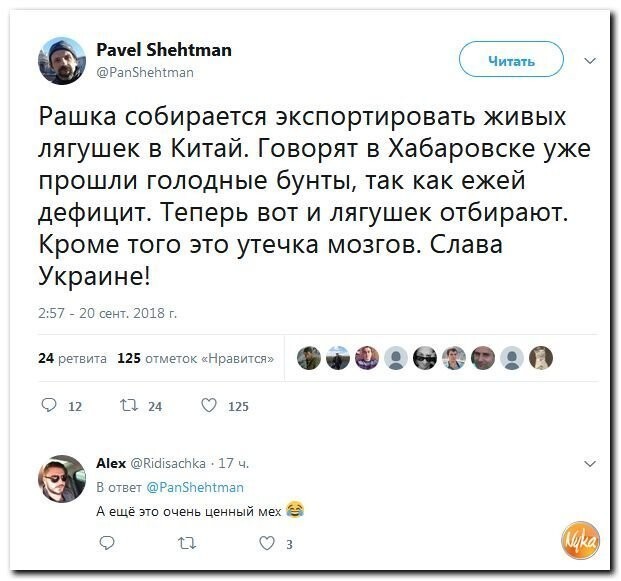 Политические коментарии соцсетей - 588
