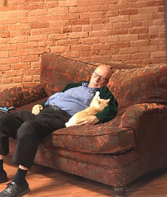 Пожилой волонтер кошачьего приюта завоевал интернет