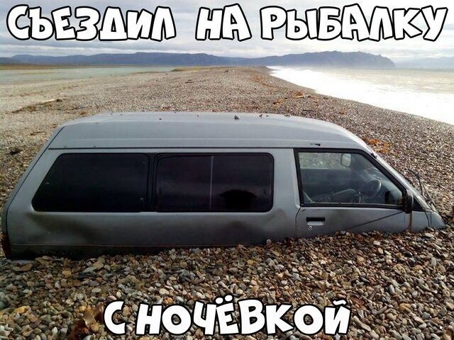 Автовсячина