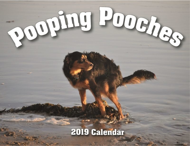 Календарь на 2019 год с изображениями какающих собак