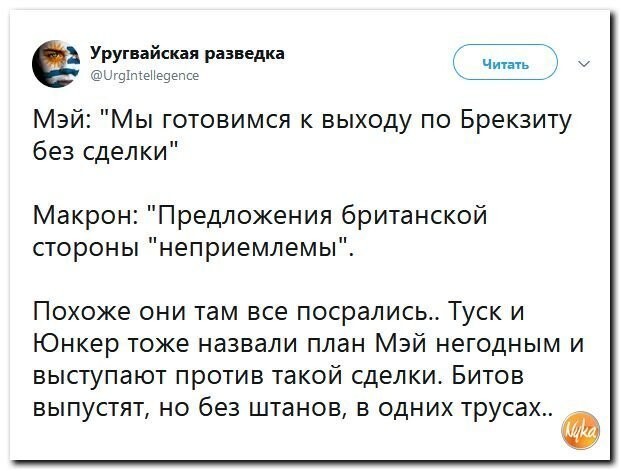 Политические коментарии соцсетей - 589