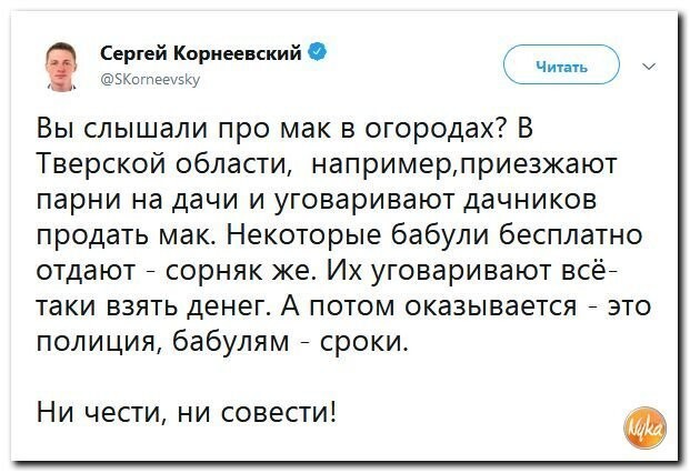 Политические коментарии соцсетей - 589