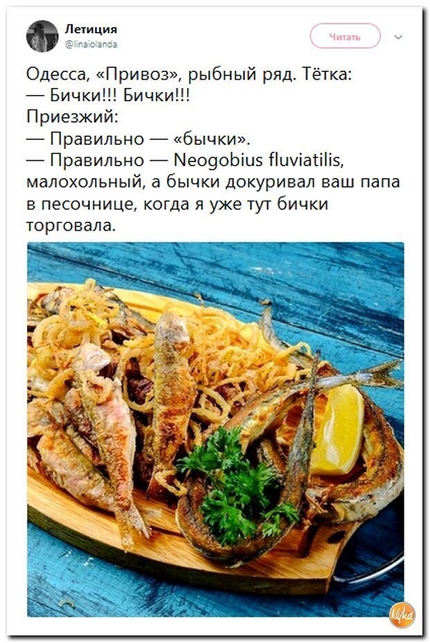 Политические коментарии соцсетей - 589