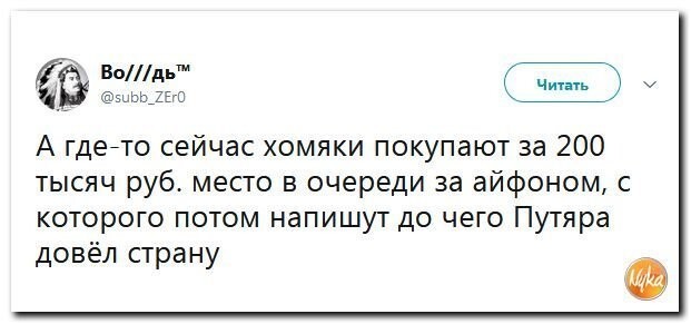 Политические коментарии соцсетей - 589