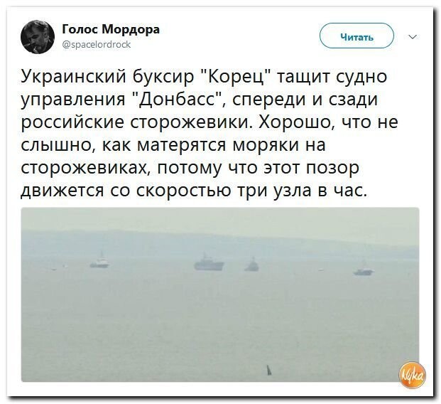 Политические коментарии соцсетей - 590