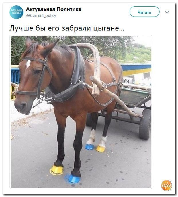 Политические коментарии соцсетей - 590