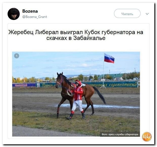 Политические коментарии соцсетей - 592