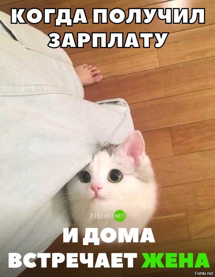 Жена, когда пришла зарплата