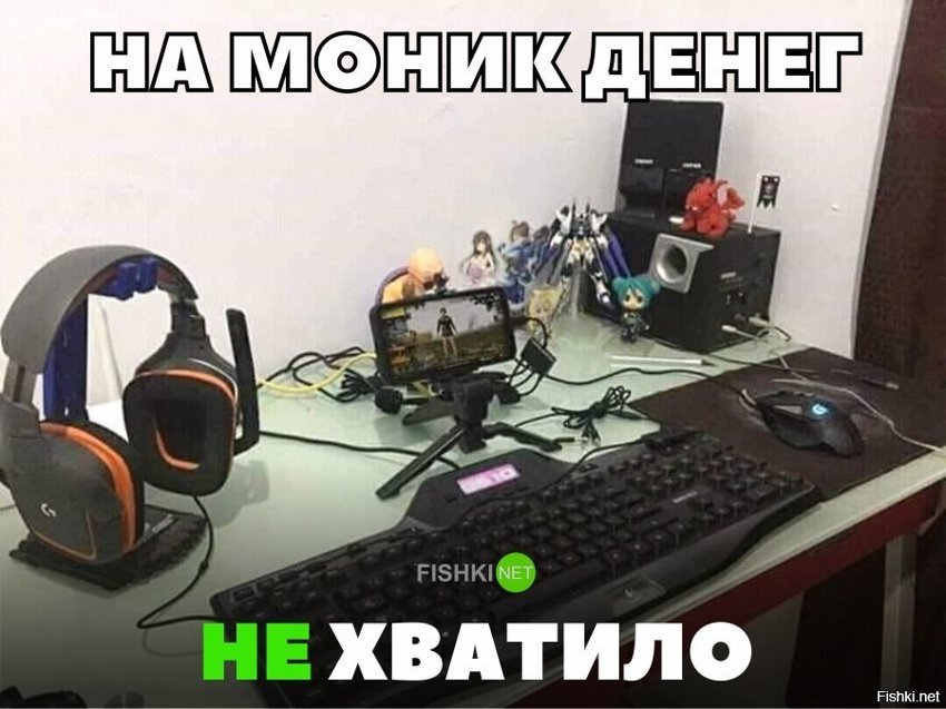 На монитор денег не хватило