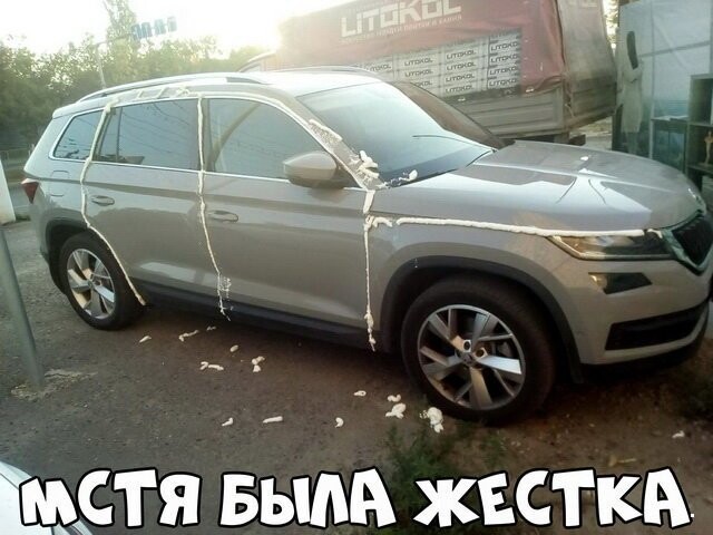 Автовсячина