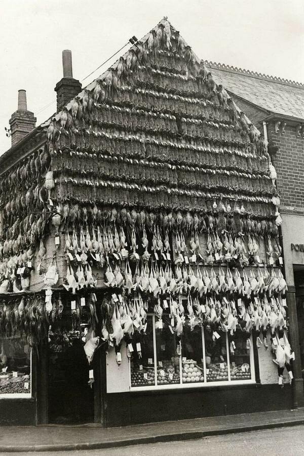 Наши предки хорошо питались. Мясная лавка в городе Хай-Уиком. Великобритания. 1938 г.