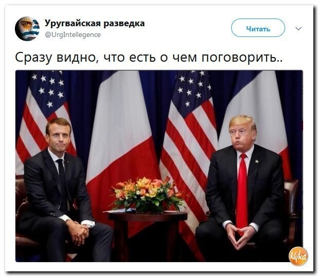 Политические коментарии соцсетей - 593