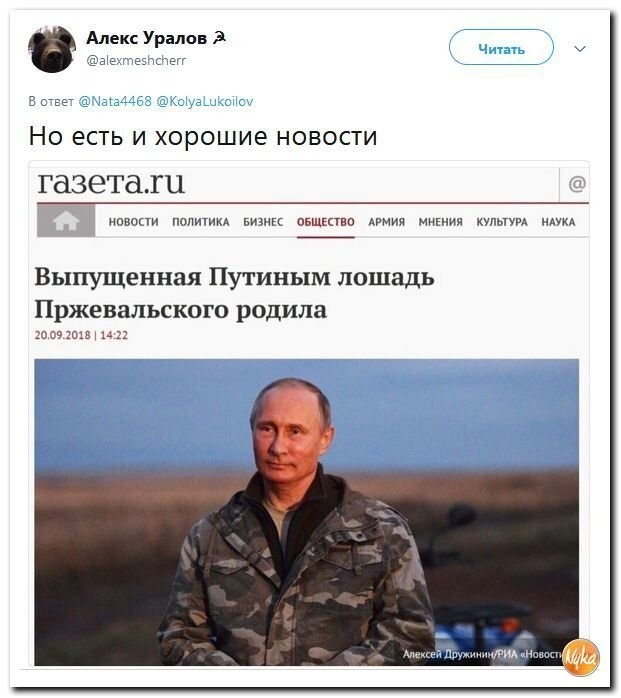 Политические коментарии соцсетей - 593