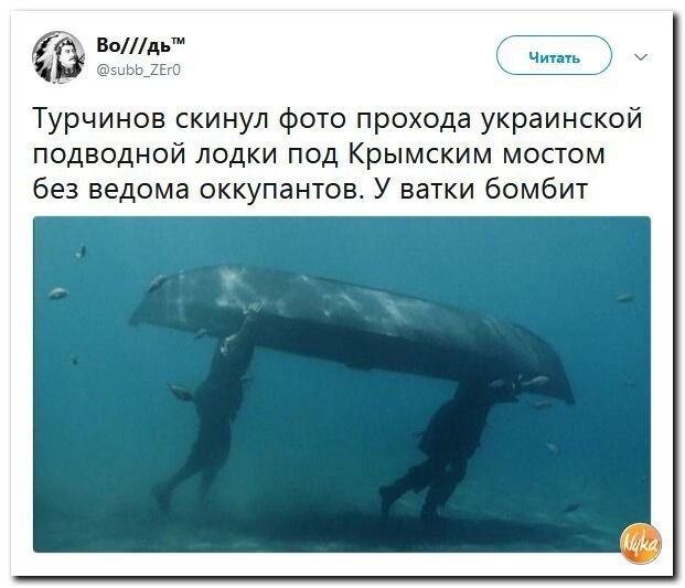 Политические коментарии соцсетей - 593