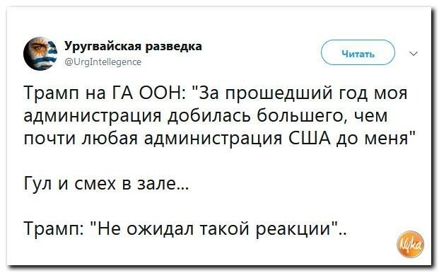 Политические коментарии соцсетей - 593