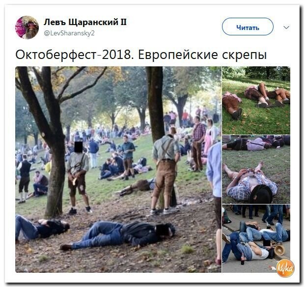 Политические коментарии соцсетей - 593