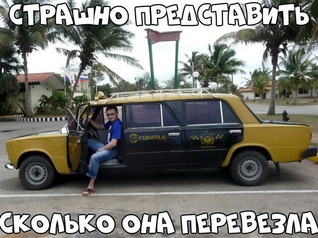 Автовсячина