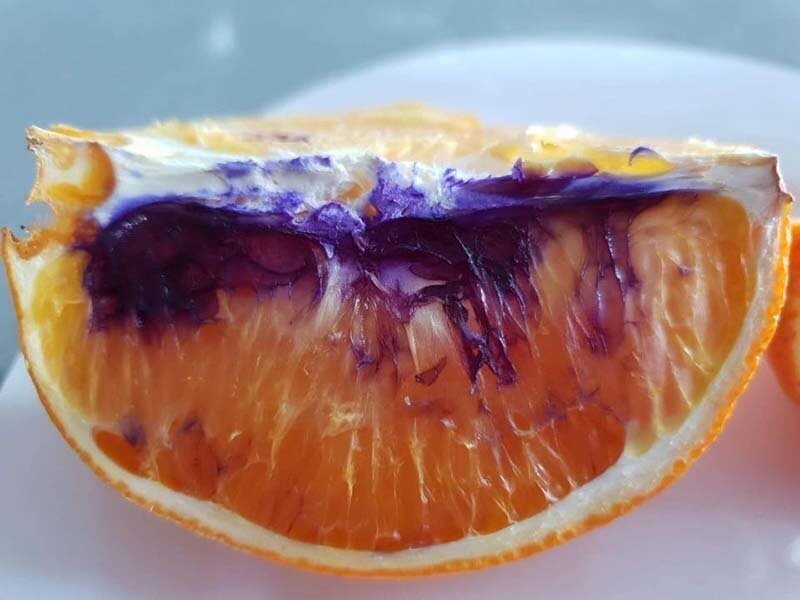 Австралийские учёные раскрыли тайну фиолетового апельсина