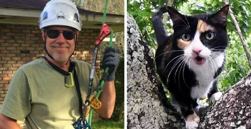Этот мужчина занялся альпинизмом, и вот уже как 4 года спасает котиков