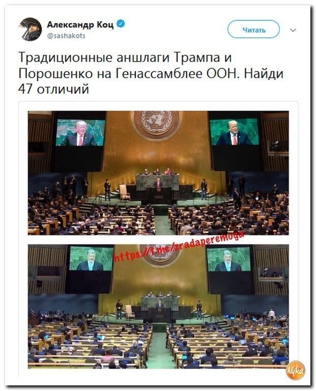 Политические коментарии соцсетей - 594