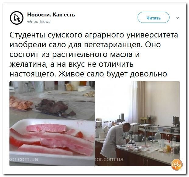 Политические коментарии соцсетей - 594