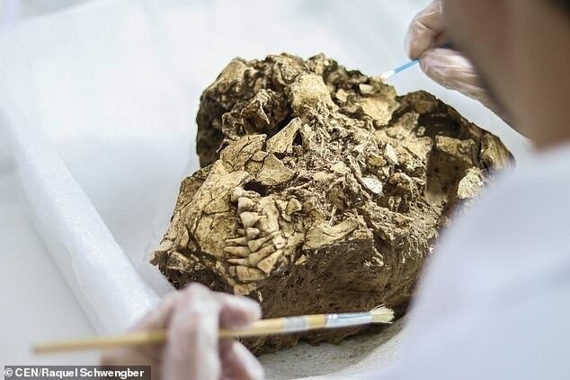 У людей, живших в Бразилии 6 тыс. лет назад, были идеальные зубы