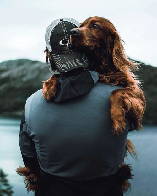 Хозяин и его собака обожают ходить в походы