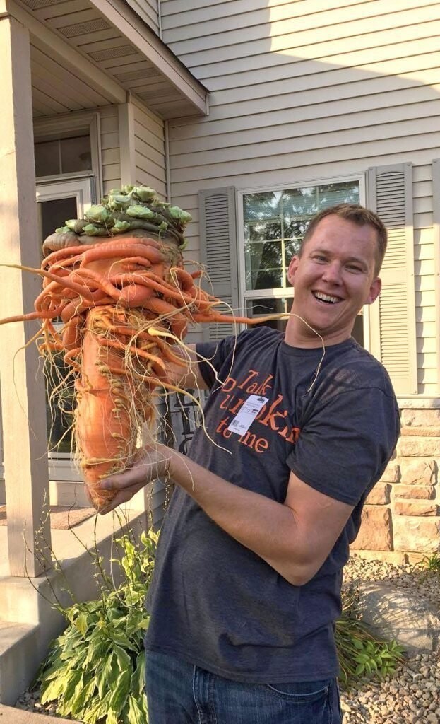 Многодетный отец из Миннесоты вырастил самую большую в мире морковь