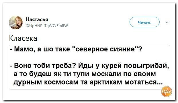 Политические коментарии соцсетей - 596