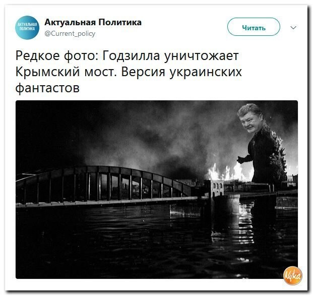 Политические коментарии соцсетей - 596