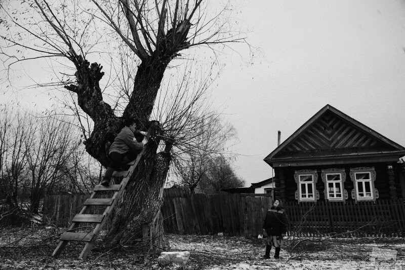 Политические коментарии соцсетей - 596