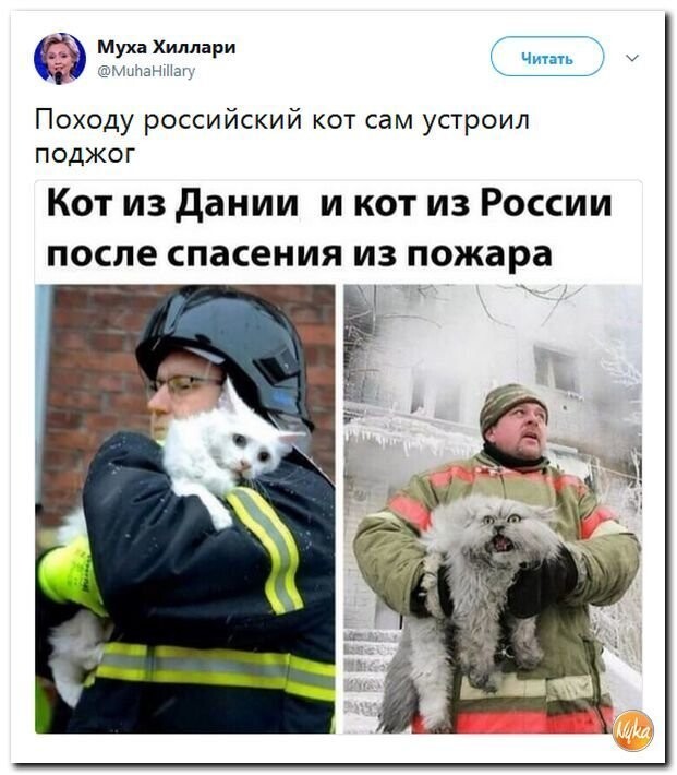 Политические коментарии соцсетей - 596