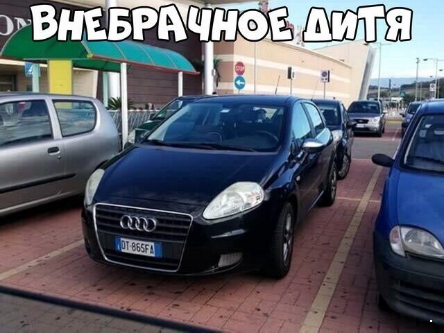 Автовсячина