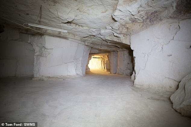 Пещера на миллион долларов: в Великобритании нашли подпольную фабрику конопли