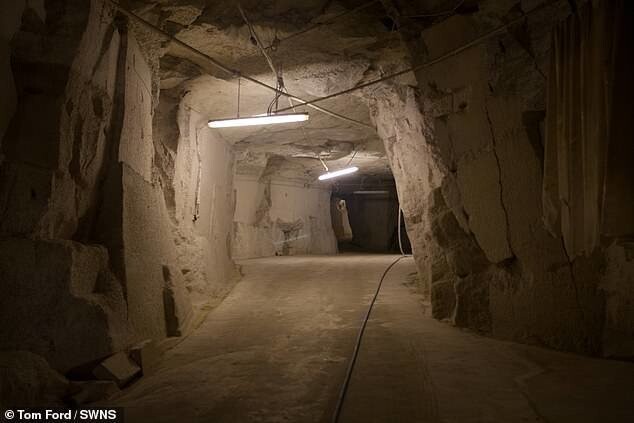 Пещера на миллион долларов: в Великобритании нашли подпольную фабрику конопли